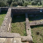 y16
