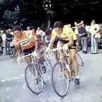 Agostinho-Merckx-Poulidor-Van Impe