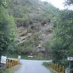 DSCN4286