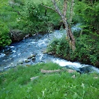 DSCN0185