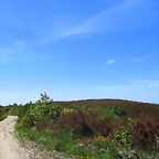 71-IMG_6472