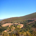 DSCN4683