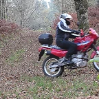 019-IMG_4004