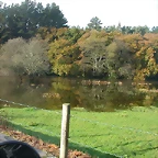DSCN4647
