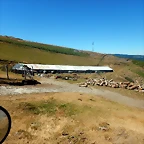 DSCN4618