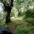 DSCN7638
