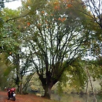 DSCN1149