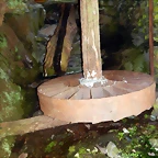 DSCN4528