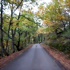 DSCN9953