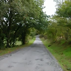 DSCN5827