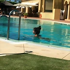 Video Hugo IG Stories 15-7-2018 (1)