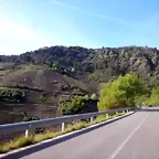 DSCN1992