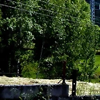 DSCN1326