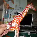 Girafa (14)