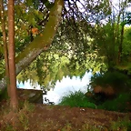 DSCN6336