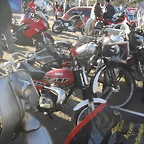 SDC10010