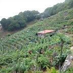 DSCN5147