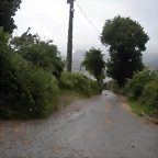 DSCN4838
