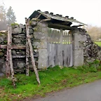 DSCN7251