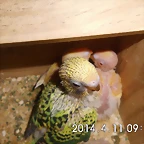 CIMG0352