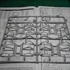 DSCN5013