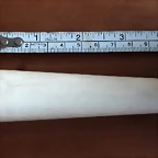 FullSizeRender
