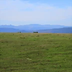 IMG_8374