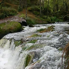 DSCN5767