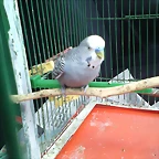 IMG_20170427_162006