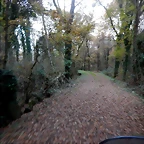 DSCN0742
