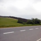 DSCN6554