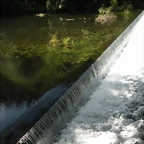 DSCN6166