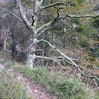 DSCN9280