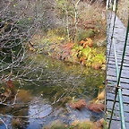 DSCN9283