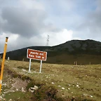DSCN8513