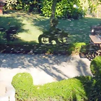 DSCN4241
