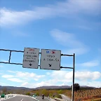 DSCN8769