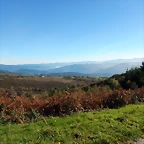 DSCN9540