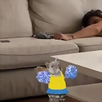 Video Mar?a IG Stories 5-6-2018 (5)