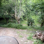 DSCN4243
