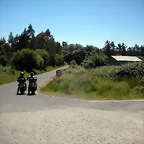 DSCN6662