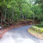 DSCN5325