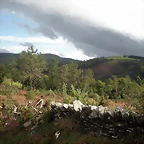 DSCN8407