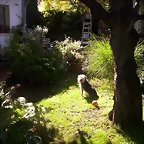 teddy_075