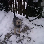 teddy_069