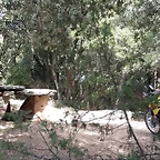 29a