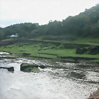 DSCN5405