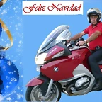 NAVIDAD HALCONES