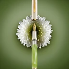 m200-pastel-green-1-copy