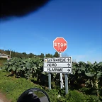 DSCN9581